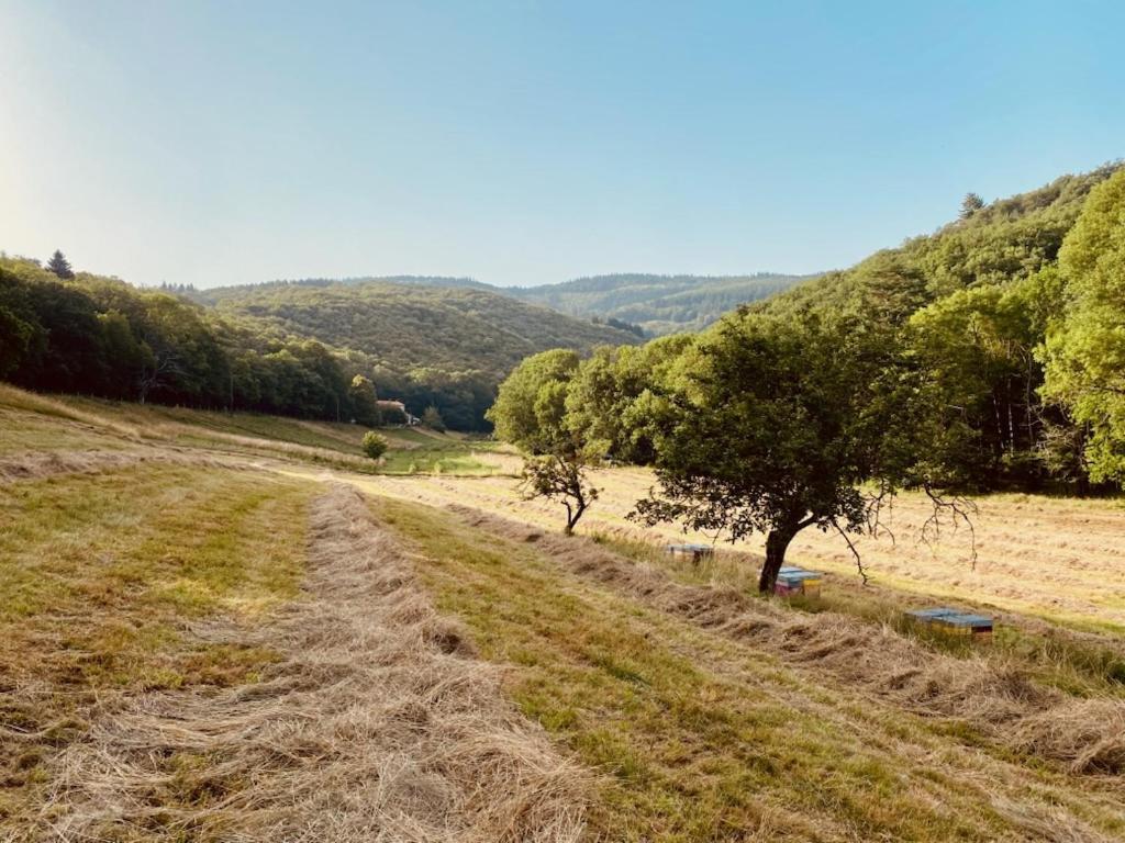 Nabat Le Haut, Chambre Et Table D'Hotes Courniou Exteriér fotografie